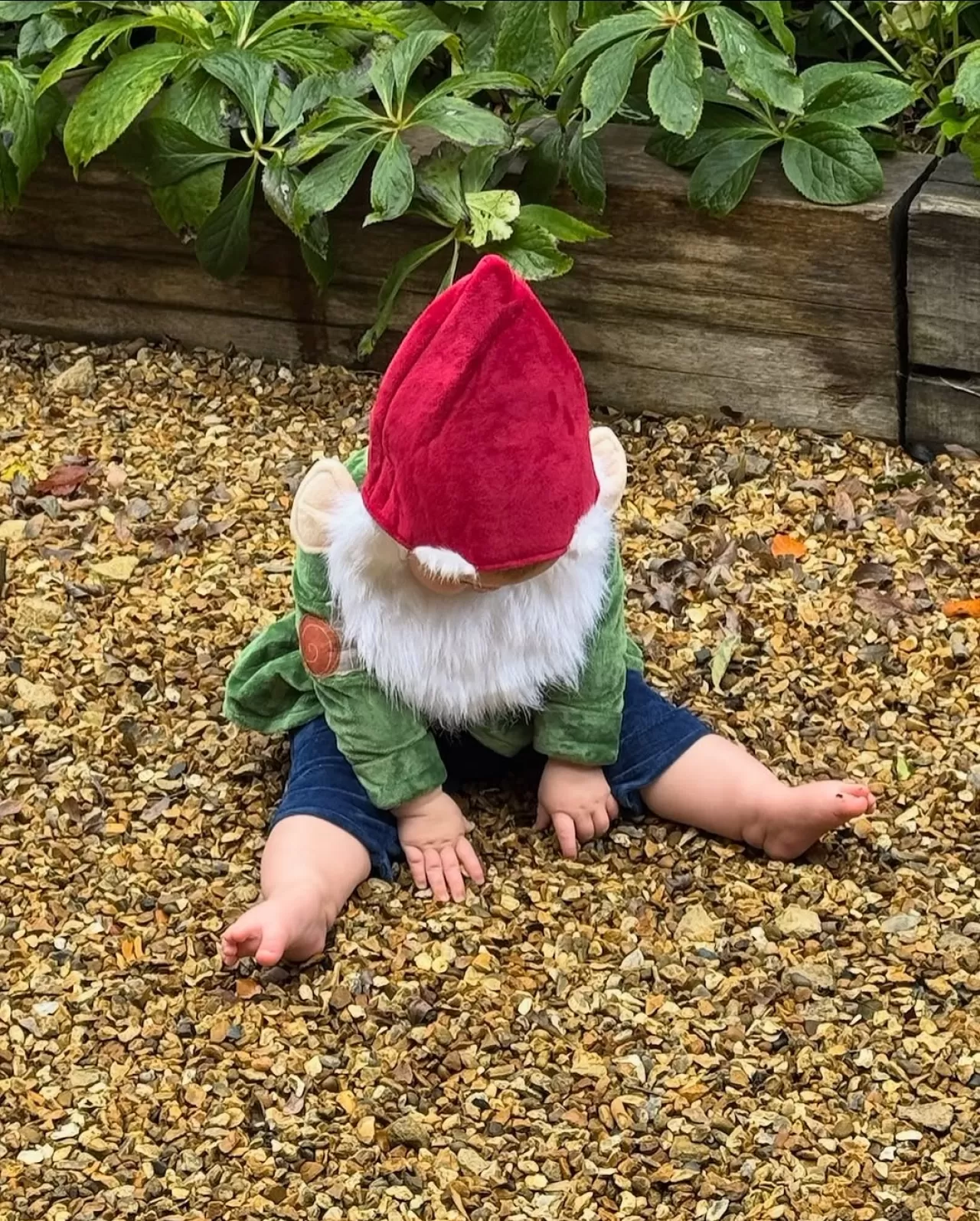 Lily Collins'in Kızı Tove'un İlk Cadılar Bayramı: Bahçe Cücesinden Flamingoya Kostüm Değişimi