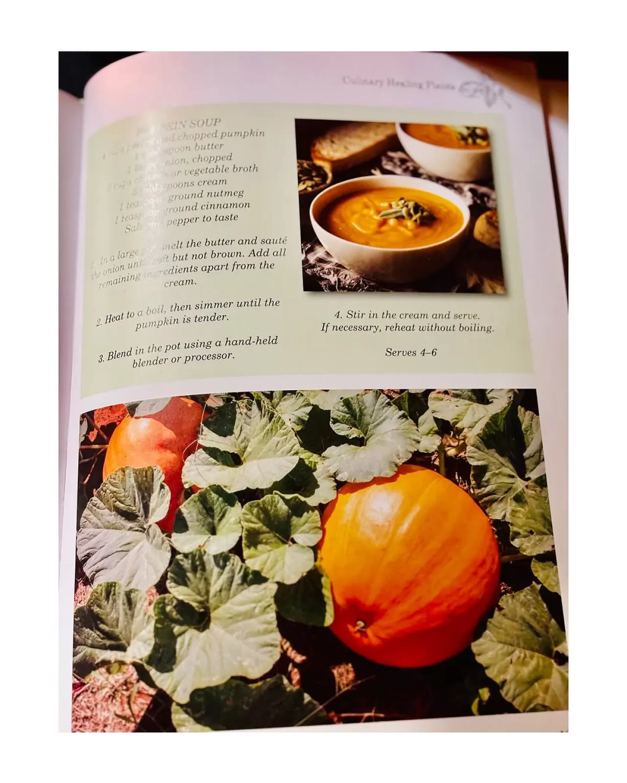 Britney Spears'tan Geleneksel Cadılar Bayramı Kutlaması