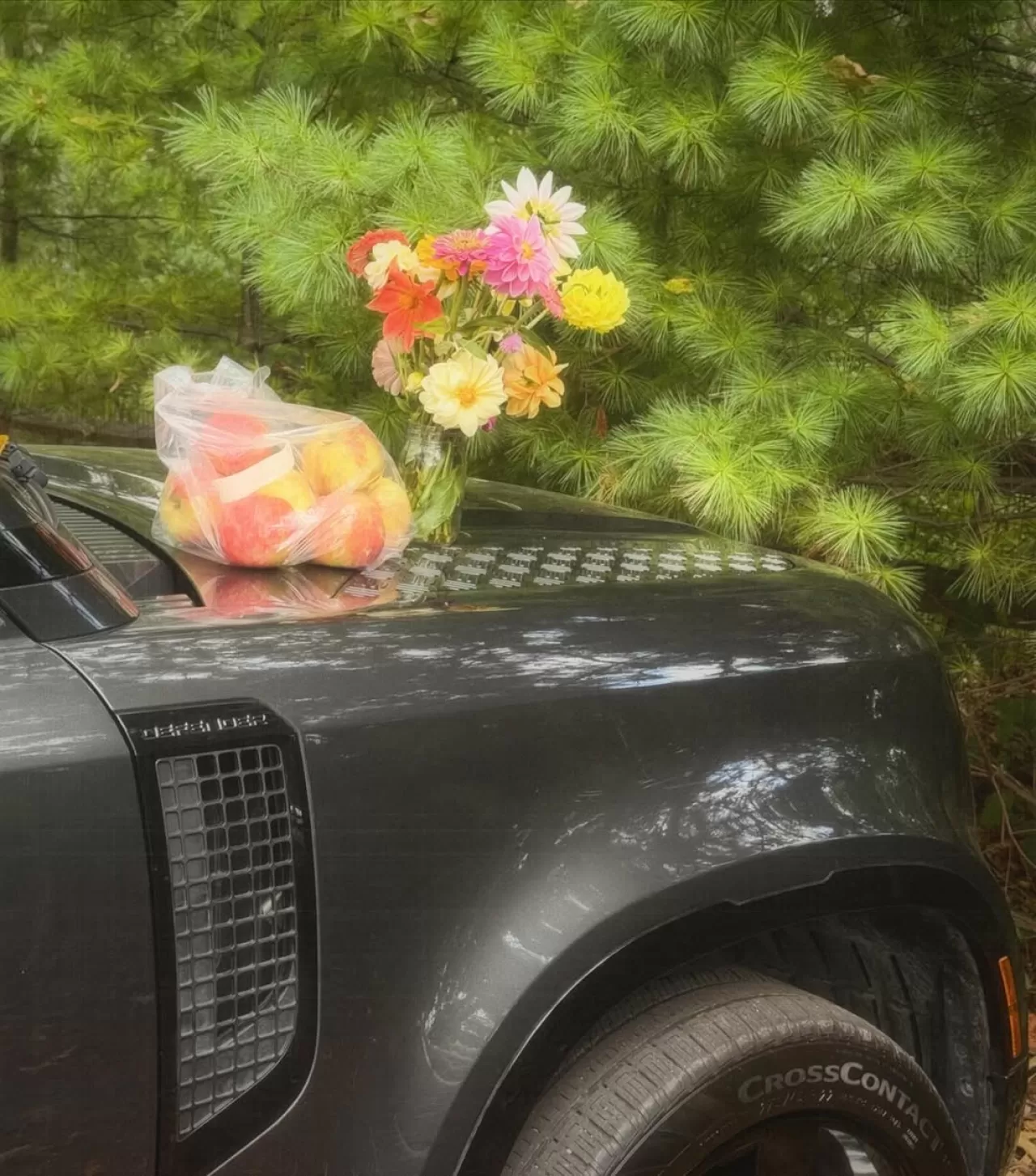 Gigi Hadid Sosyal Medya Paylaşımıyla Mevsim Geçişine İlişkin Duygularını Paylaştı