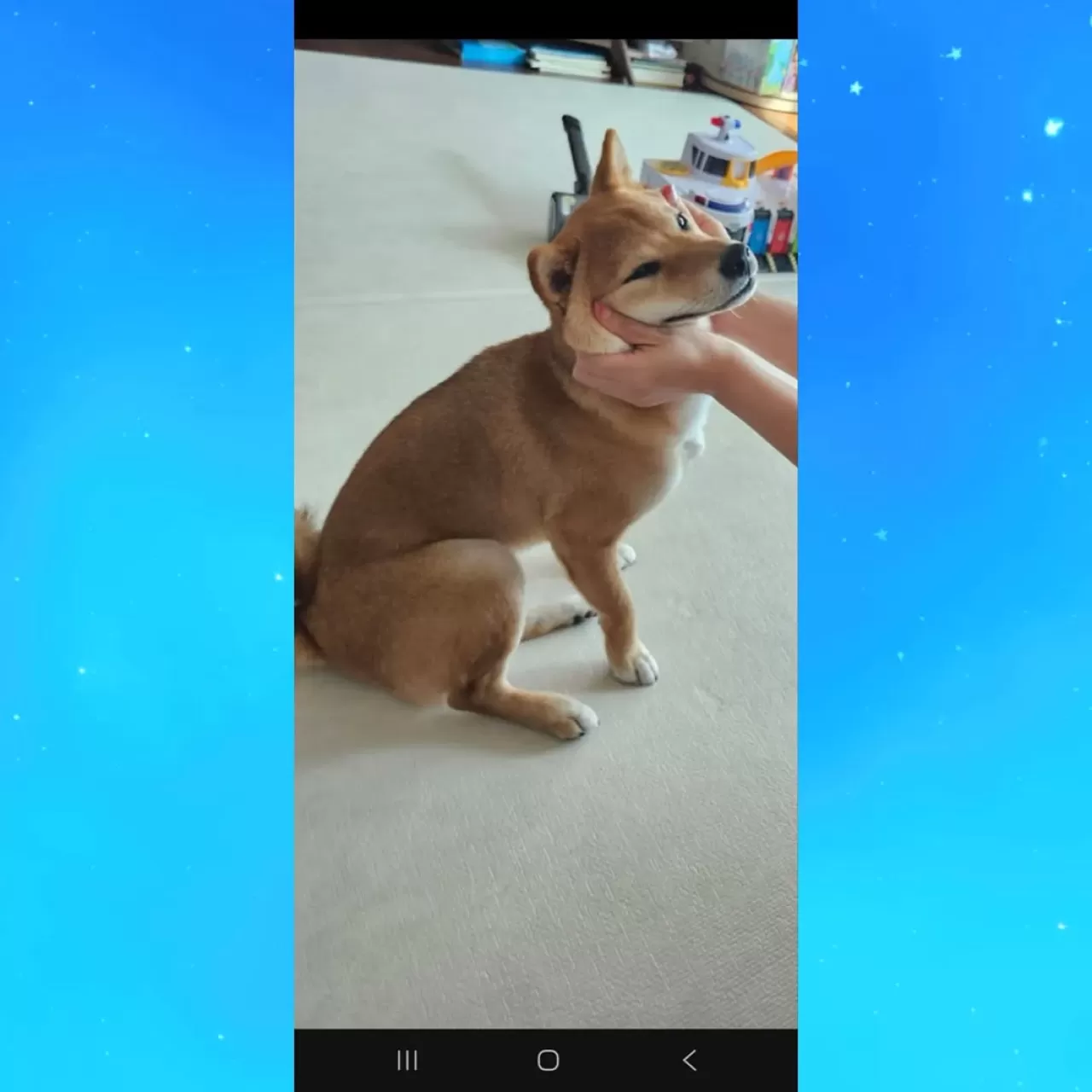 TXT Soobin, Boş Gününde Evcil Hayvanı Tori ile Vakit Geçirecek