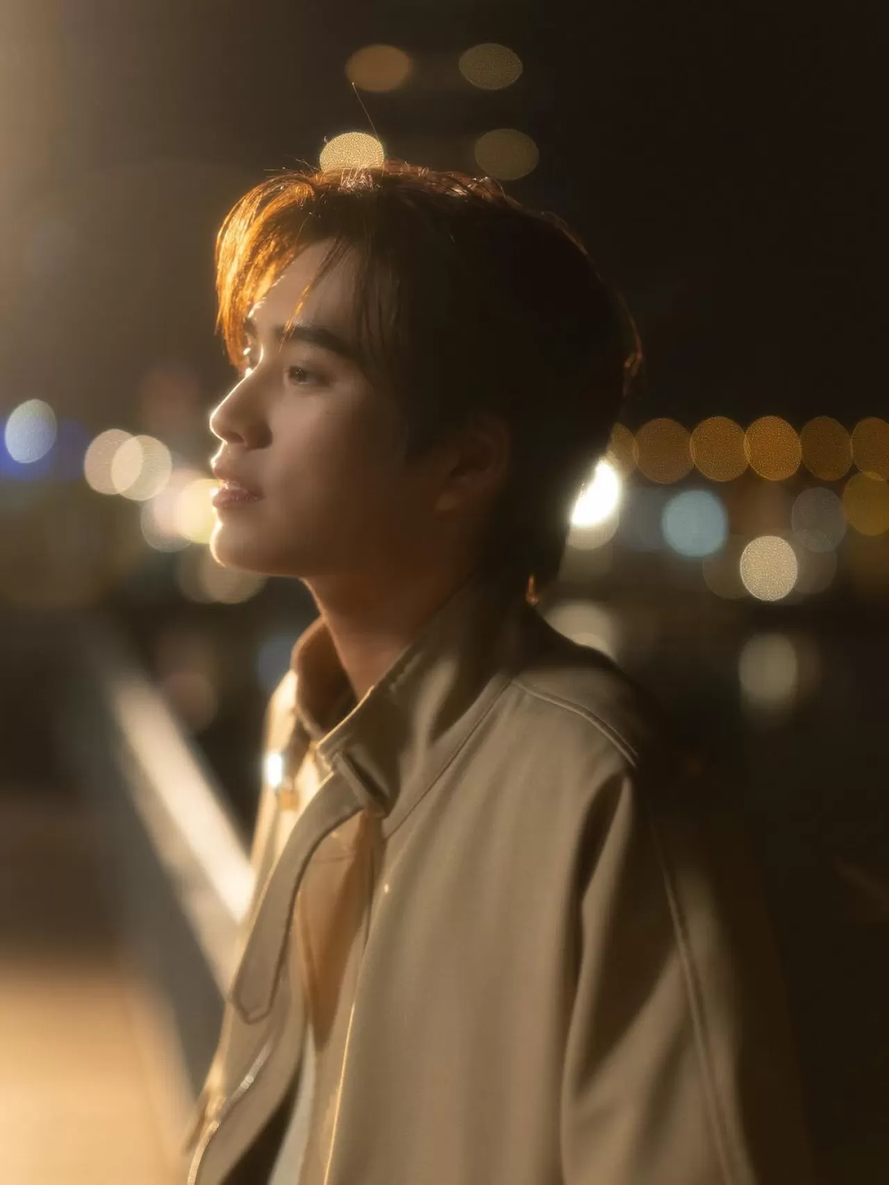 Sanatçı Gemini'nin