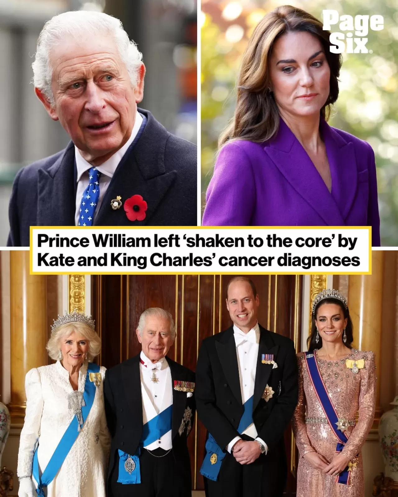 Kral III. Charles'ın Hastalığı, Prens William'ın Planlarını Değiştirdi