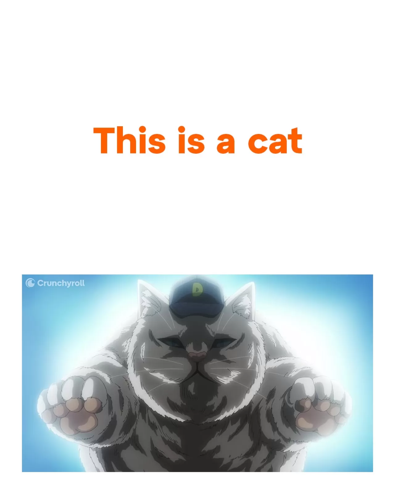 Crunchyroll, Sosyal Medya Paylaşımıyla Kedi Temalı İçeriğe Dikkat Çekti