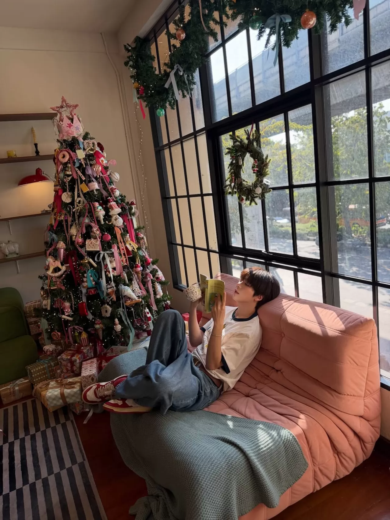 İstanbul'daki Sokak Hayvanları İçin Erken Noel Kutlaması