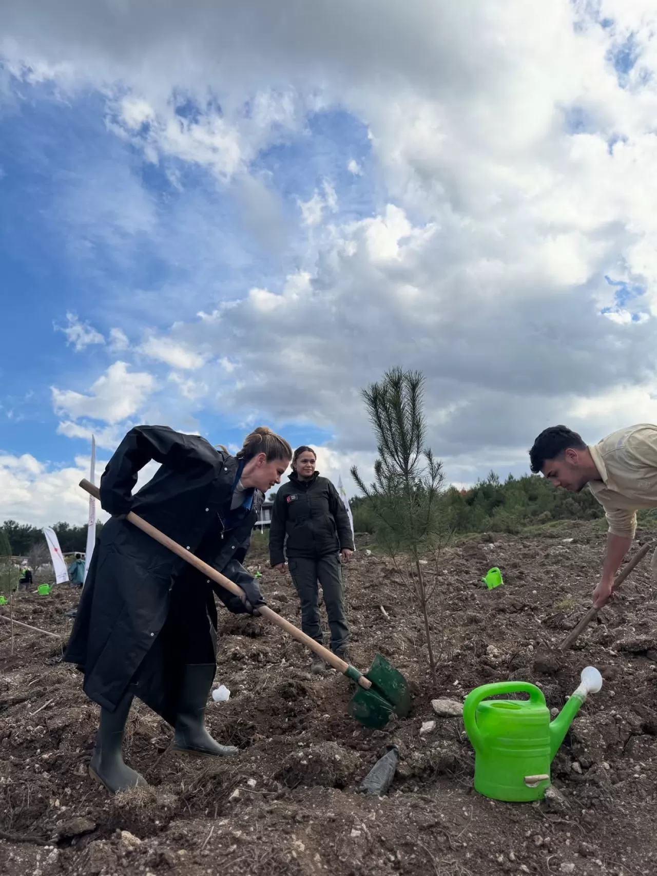 ALJ Türkiye, Orman Yangınları Sonrası Ağaçlandırma Seferberliği Başlattı