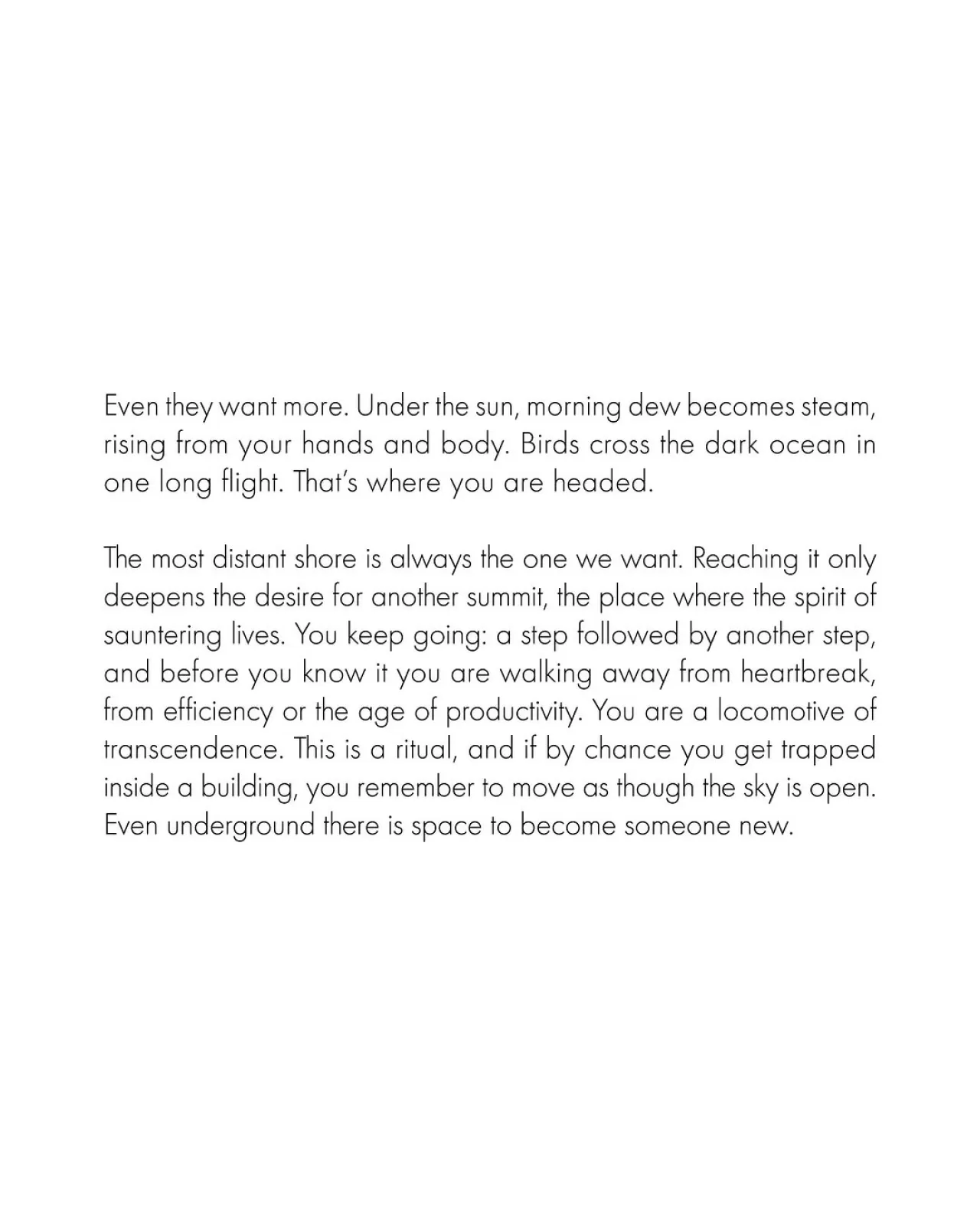 Jil Sander'dan Yeni Görsel Proje: Simone Bellotti ve Chiara Barzini İş Birliği