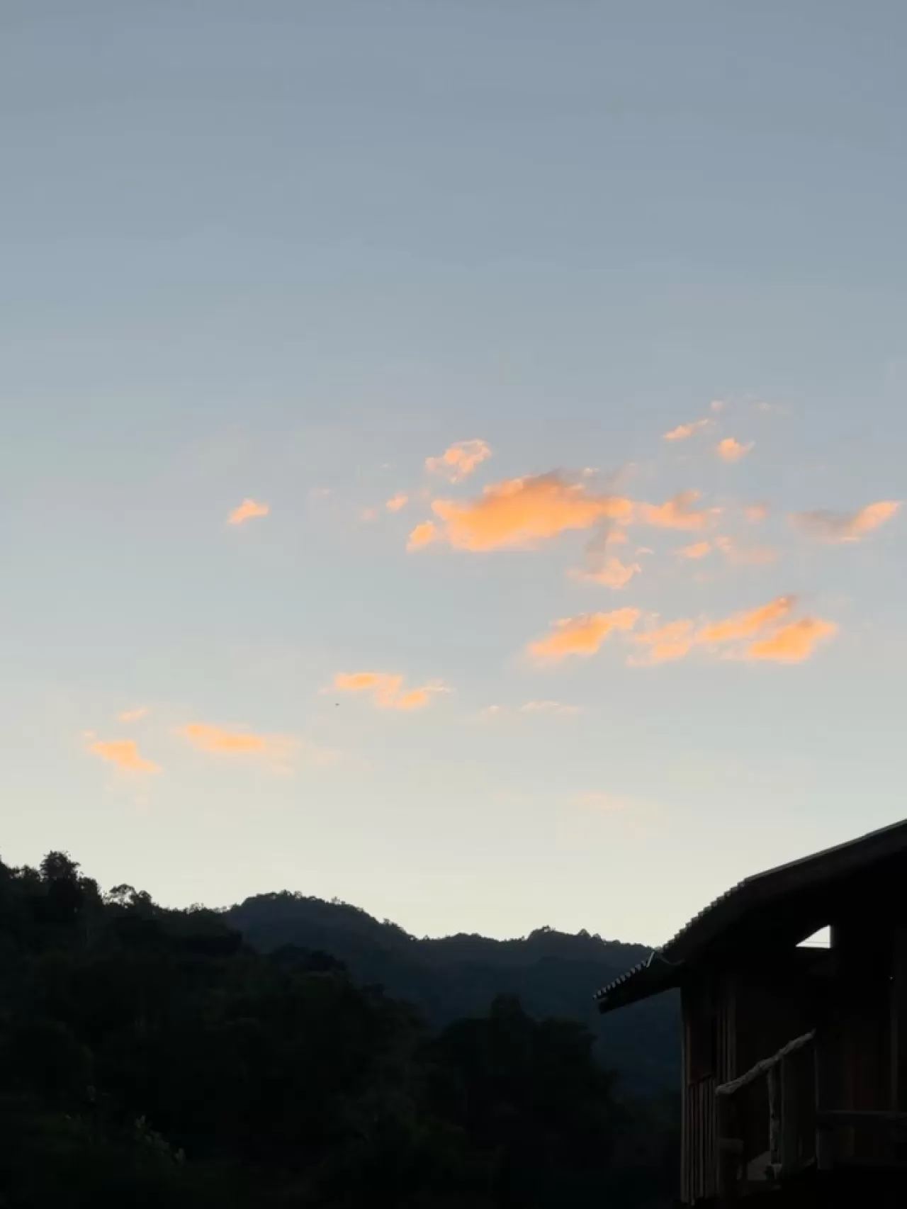 Uluslararası Turistten Tayland'a Teşekkür Mesajı