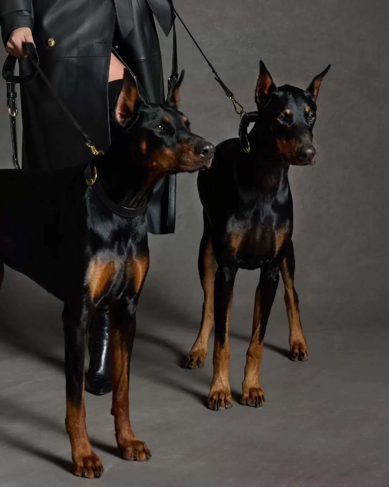 MACKAGE, 2025 Koleksiyonunu