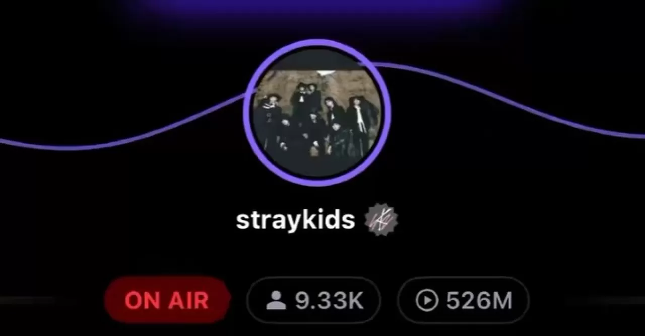 Stray Kids'tan Hayranlarına Özel