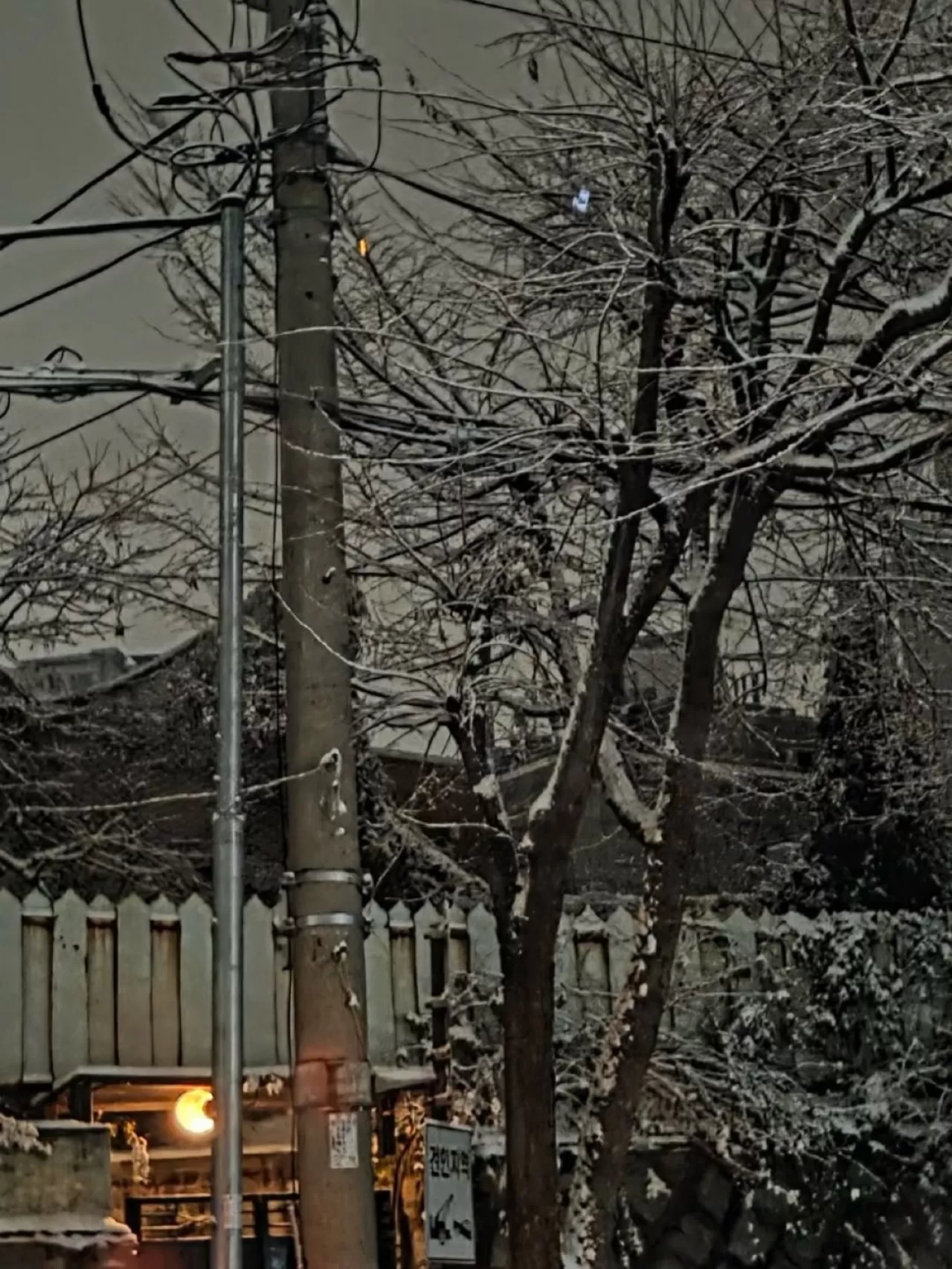 ENHYPEN Üyesi Sunghoon, Weverse Üzerinden Seul'deki İlk Kar Manzaralarını Paylaştı