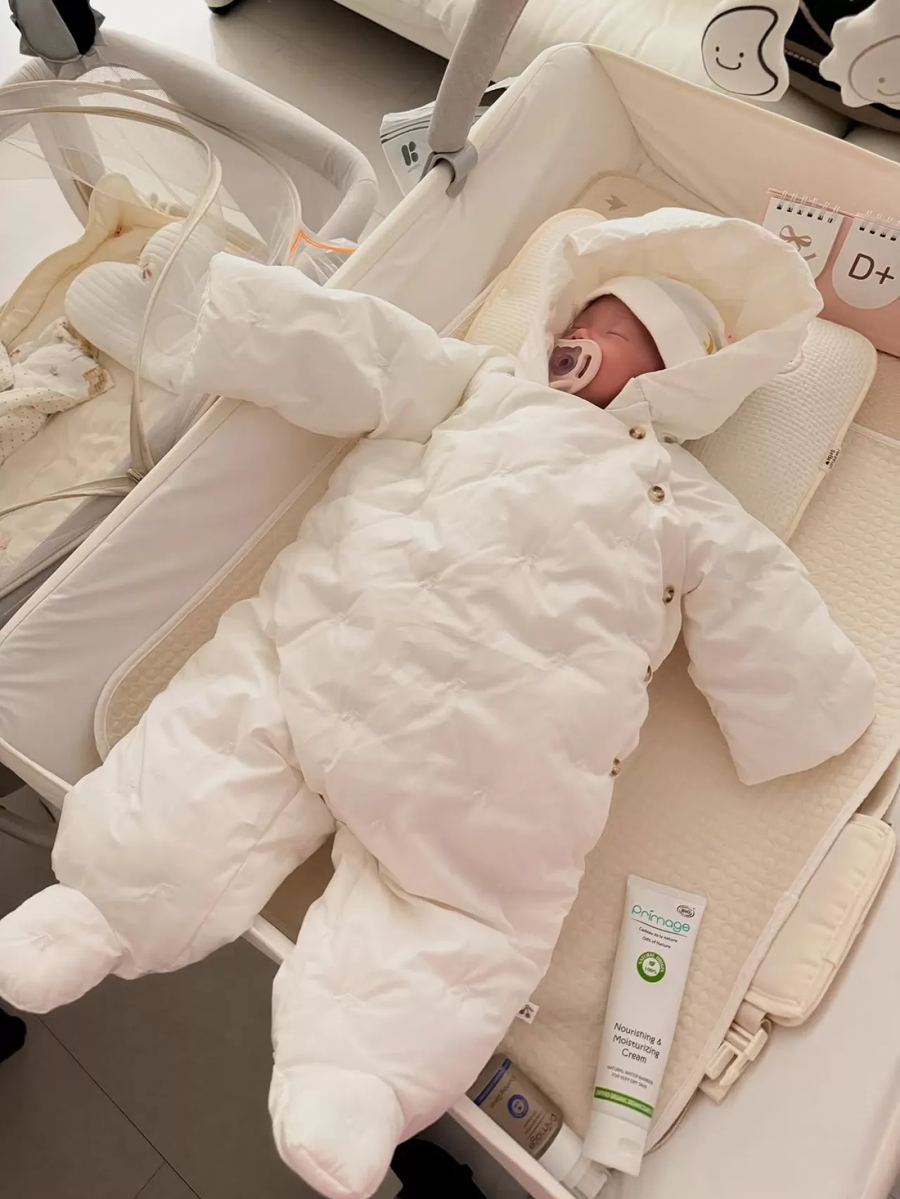 Hayvan Bakım Merkezi'nde Yavru Kedi 