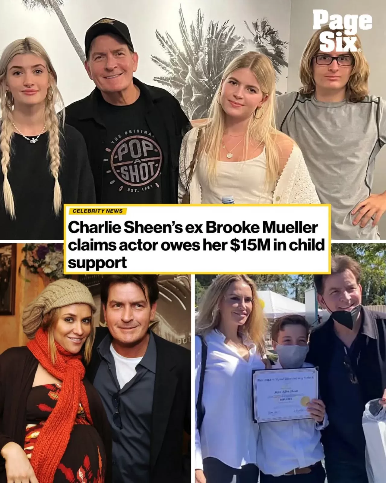 Charlie Sheen'in Eski Eşi Brooke Mueller, Oyuncudan 1.5 Milyon Dolar Çocuk Yardımı Alacağı Olduğunu İddia Etti