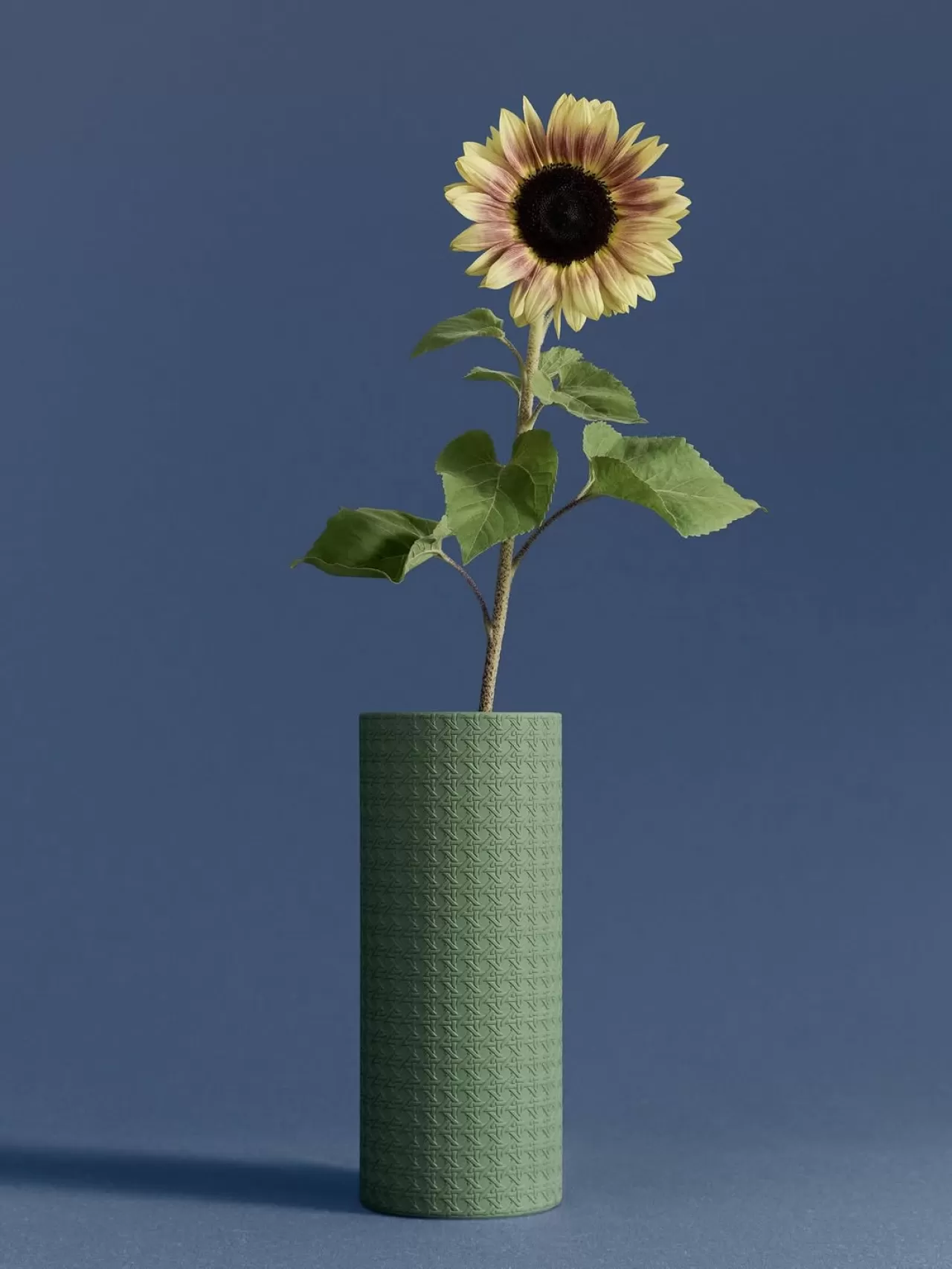 Cordelia de Castellane'den Dior için Yeni Koleksiyon: 'Cross Cannage'