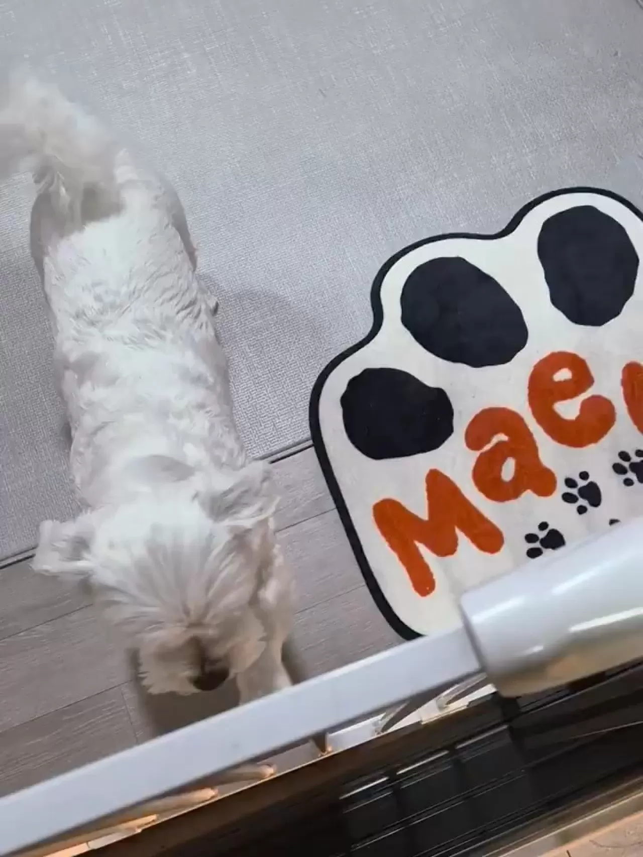 ENHYPEN Lideri JUNGWON, Weverse Üzerinden Hayranlarıyla Buluştu