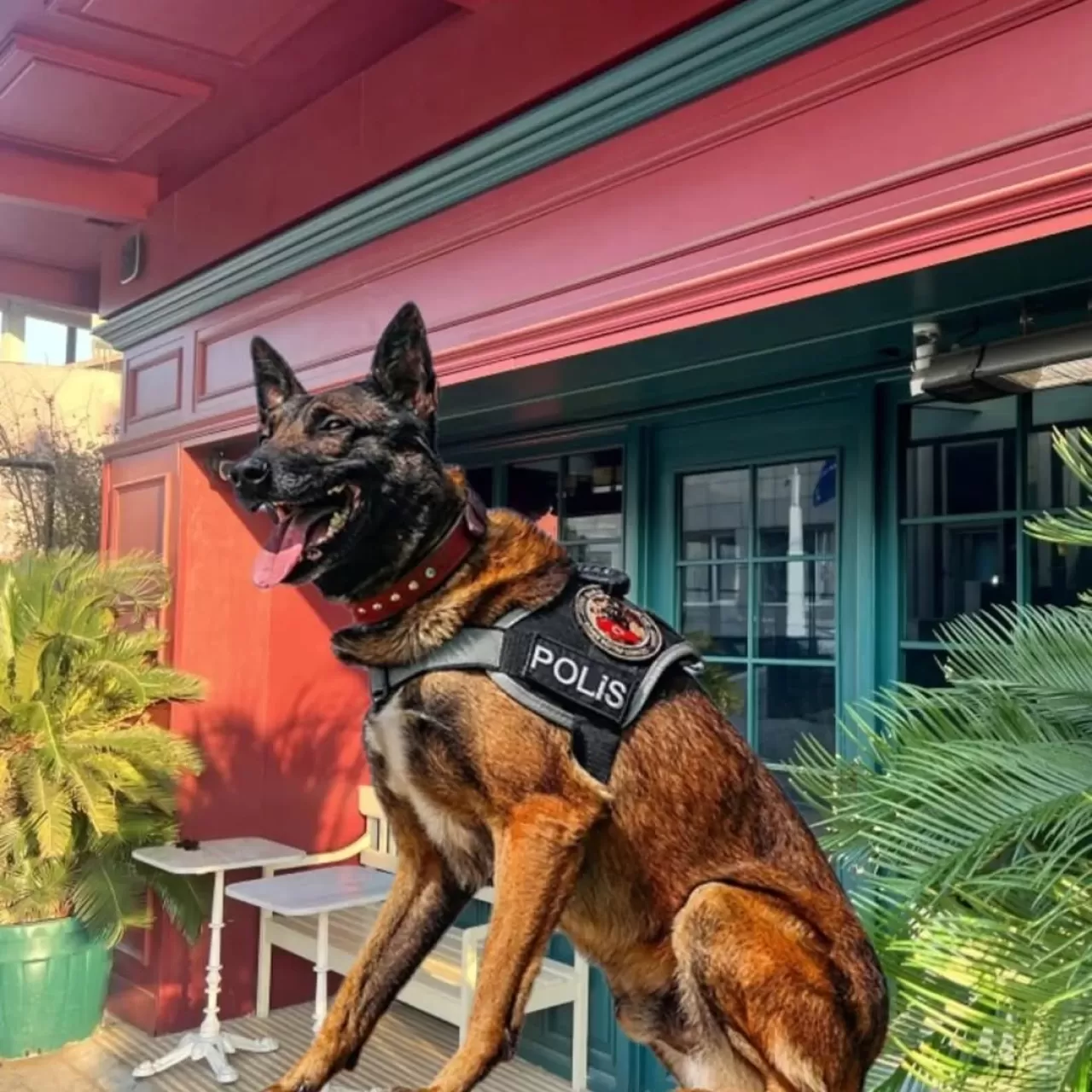 İstanbul Etiler'deki Ünlü Mekan Kütüphane'ye Narkotik Baskını