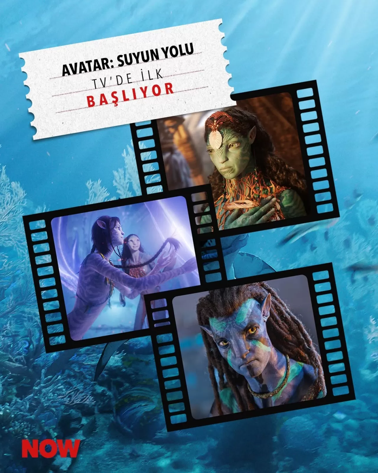 "Avatar: Suyun Yolu" Televizyonda İlk Kez NOW'da Yayınlanacak
