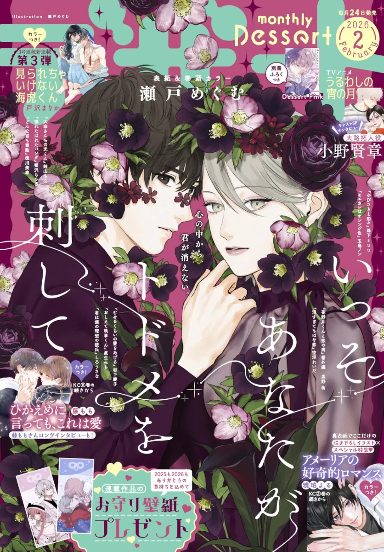 Megumu Seto'nun Romantik Dramı 