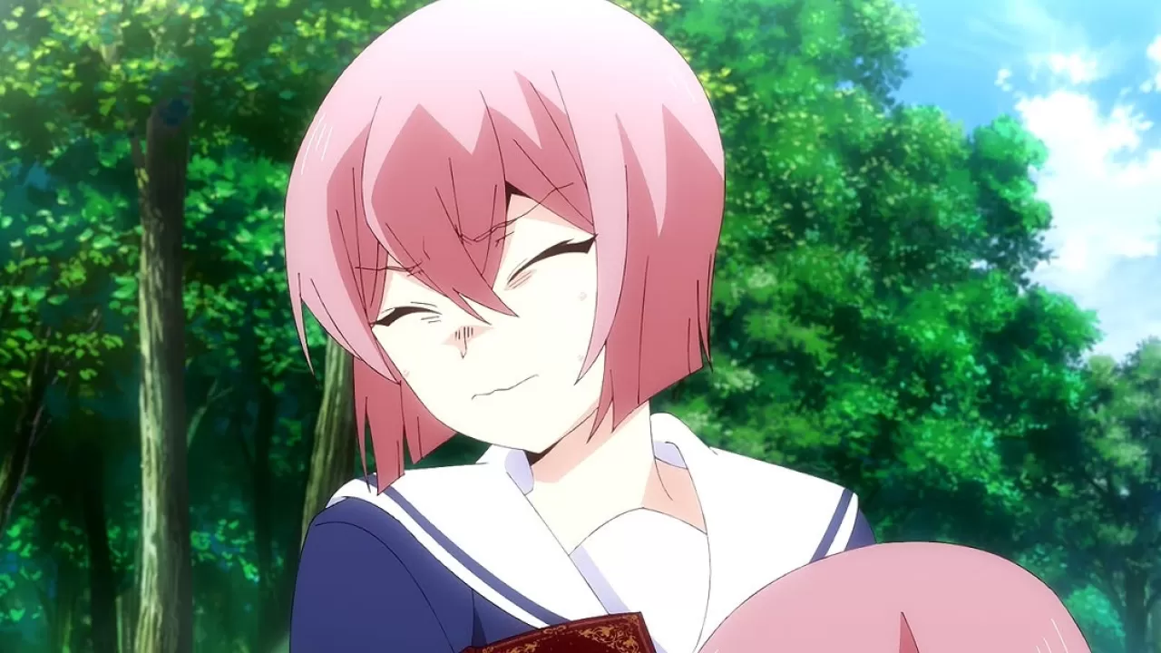 Crunchyroll, Kullanıcılarına 