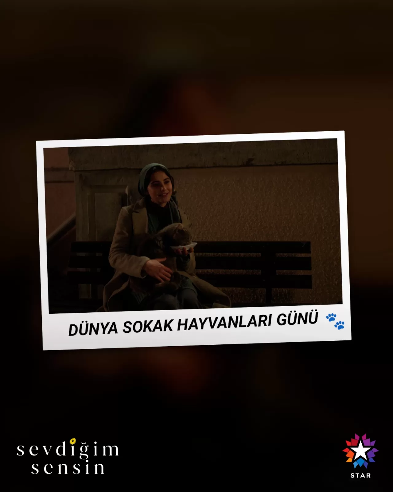 4 Nisan Dünya Sokak Hayvanları Günü Kutlu Olsun!