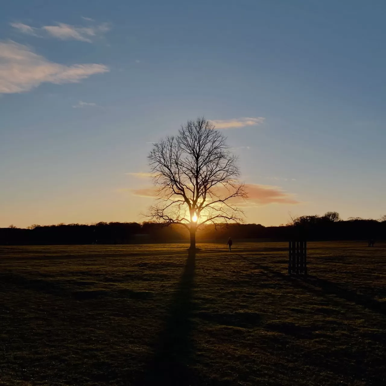 Yiğit Özşener'den Anlam Yüklü Sözler: 