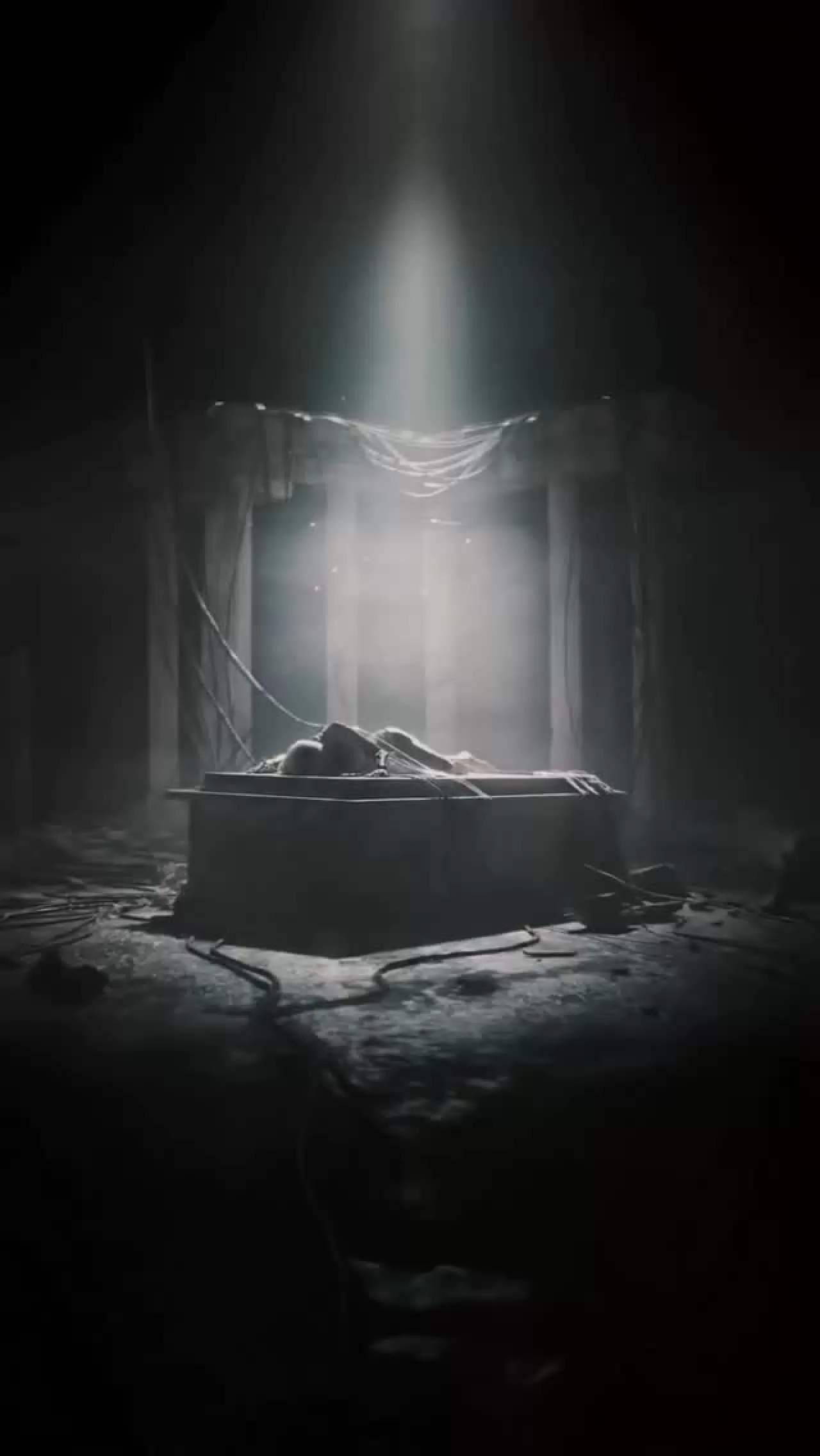 LISA ve Anyma'dan Yeni İşbirliği: