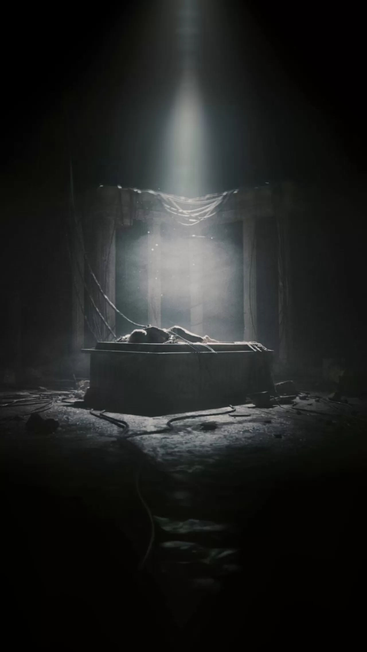 Anyma ve LISA'dan Yeni Proje: