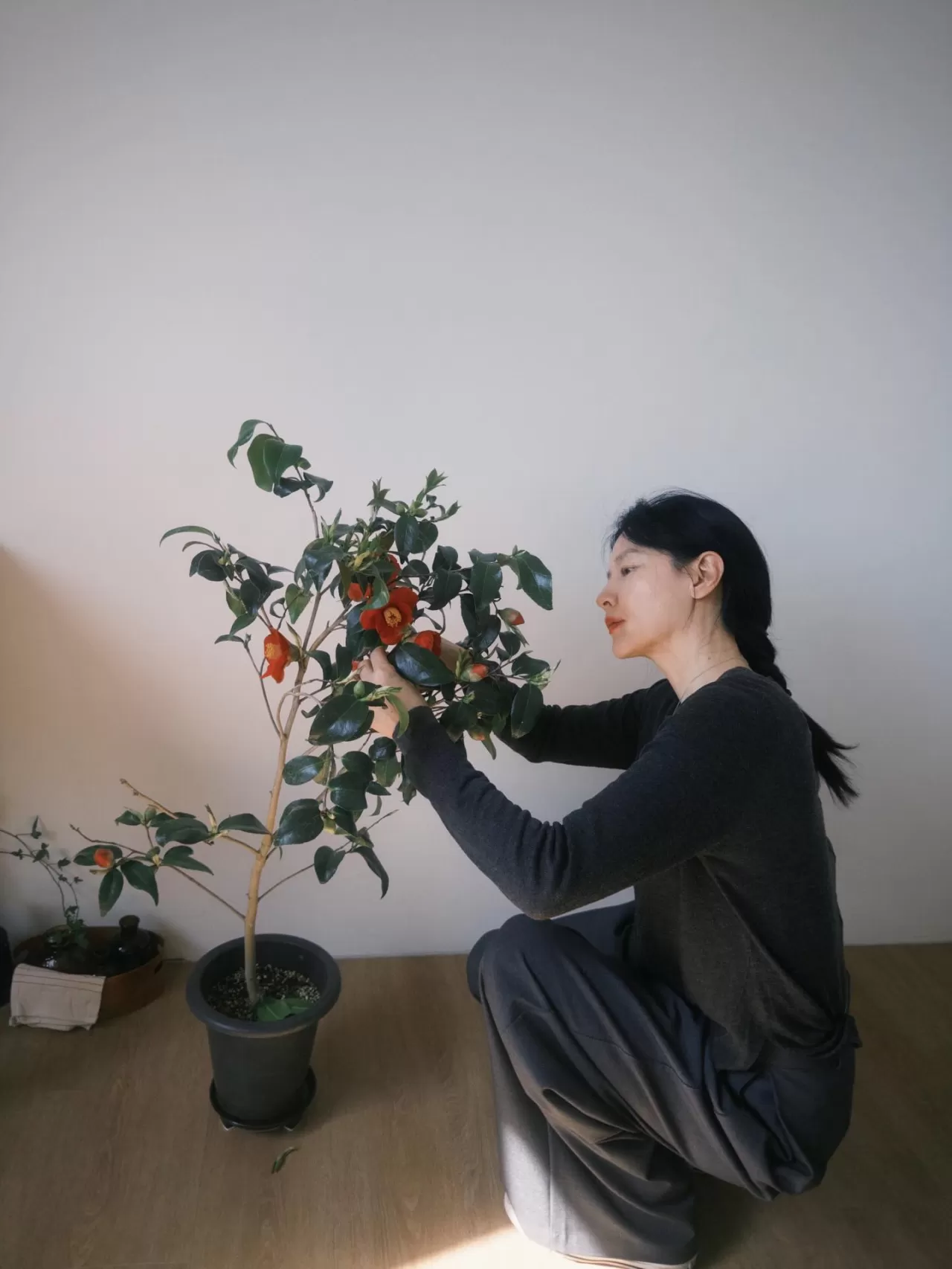 Leeyoungae'nin Kamelya Sanatı: Bitkisel Kozmetikten Pressed Flower Art'a