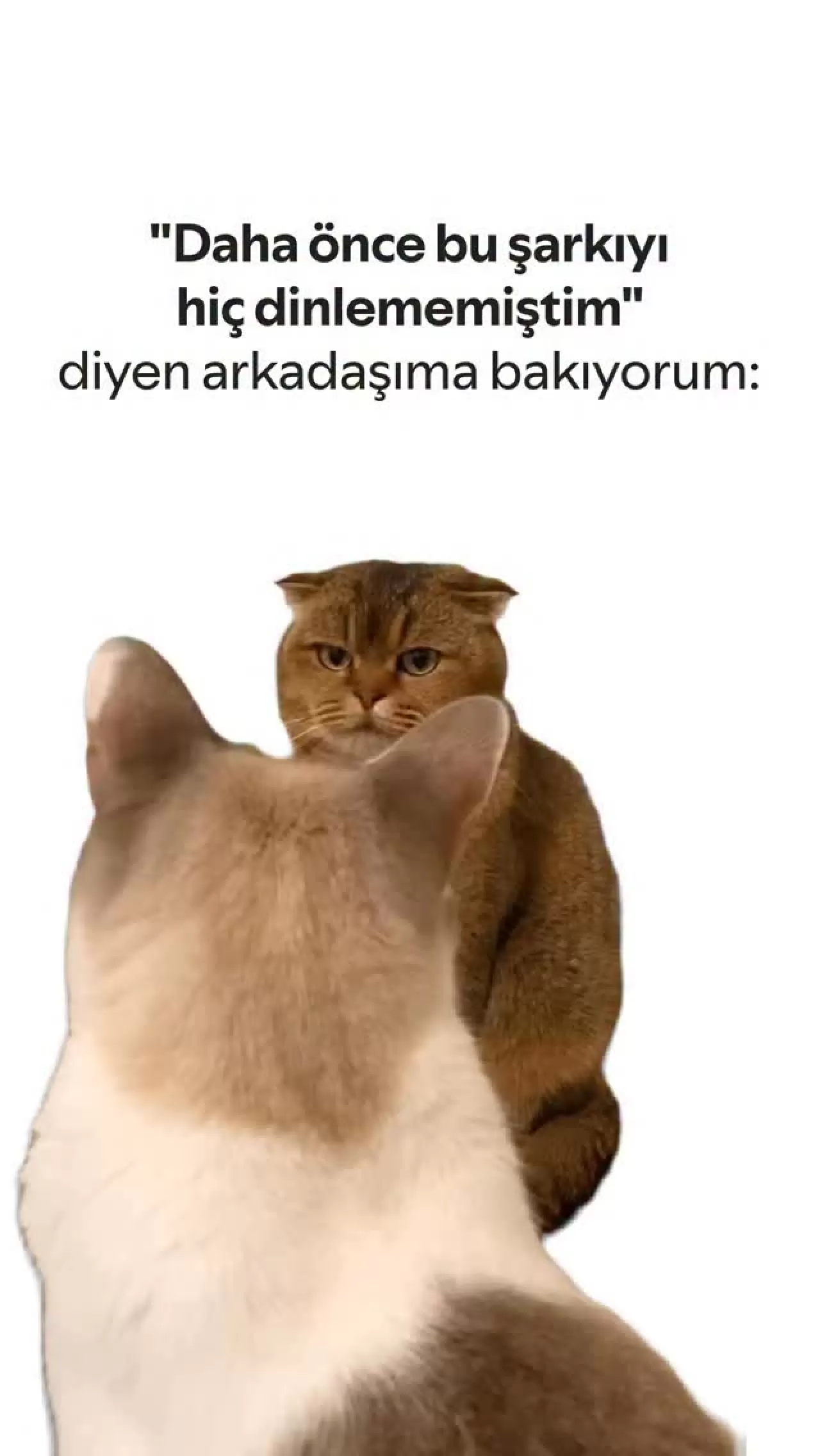 Spotify Türkiye Son Tepki Verdiği Şarkıyı Açıkladı