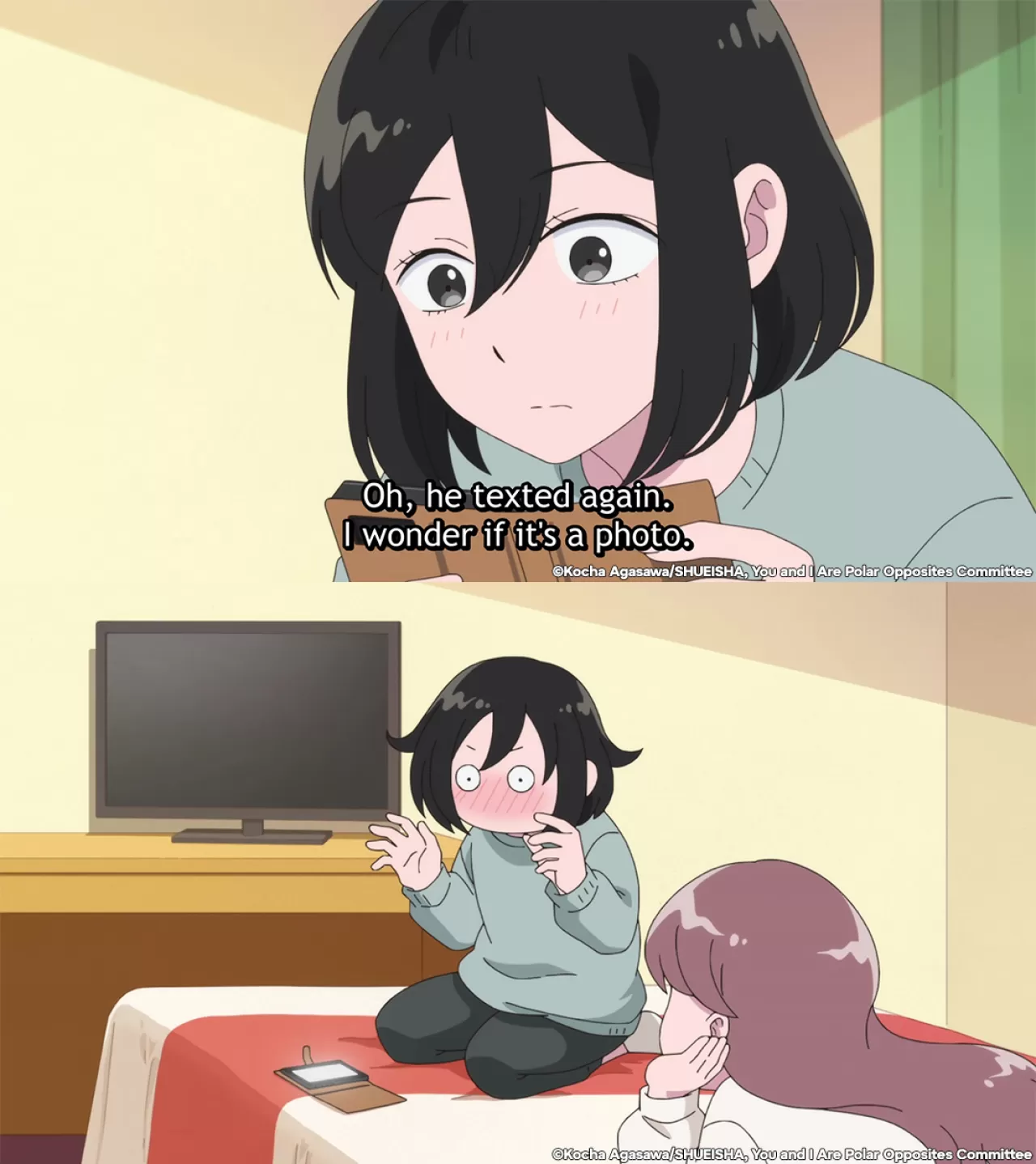 Crunchyroll İletişimi İşliyor: You and I Are Polar Opposites Analizi