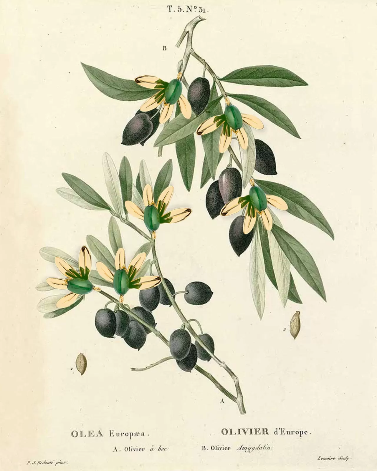 Shrimps'ten Syros İlhamlı Yeni Koleksiyon