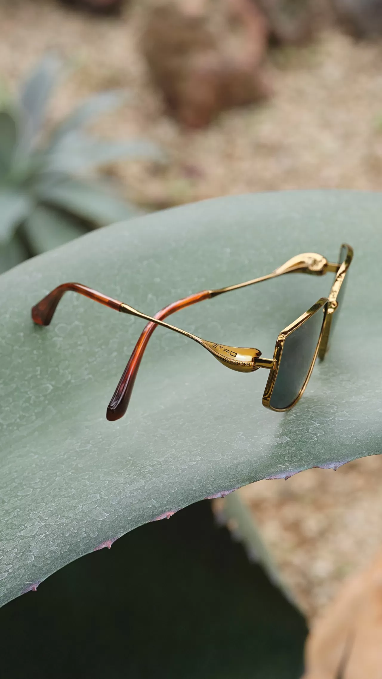 Etro SS26 Koleksiyonu: Doğanın İzinde Zarif Çizgiler