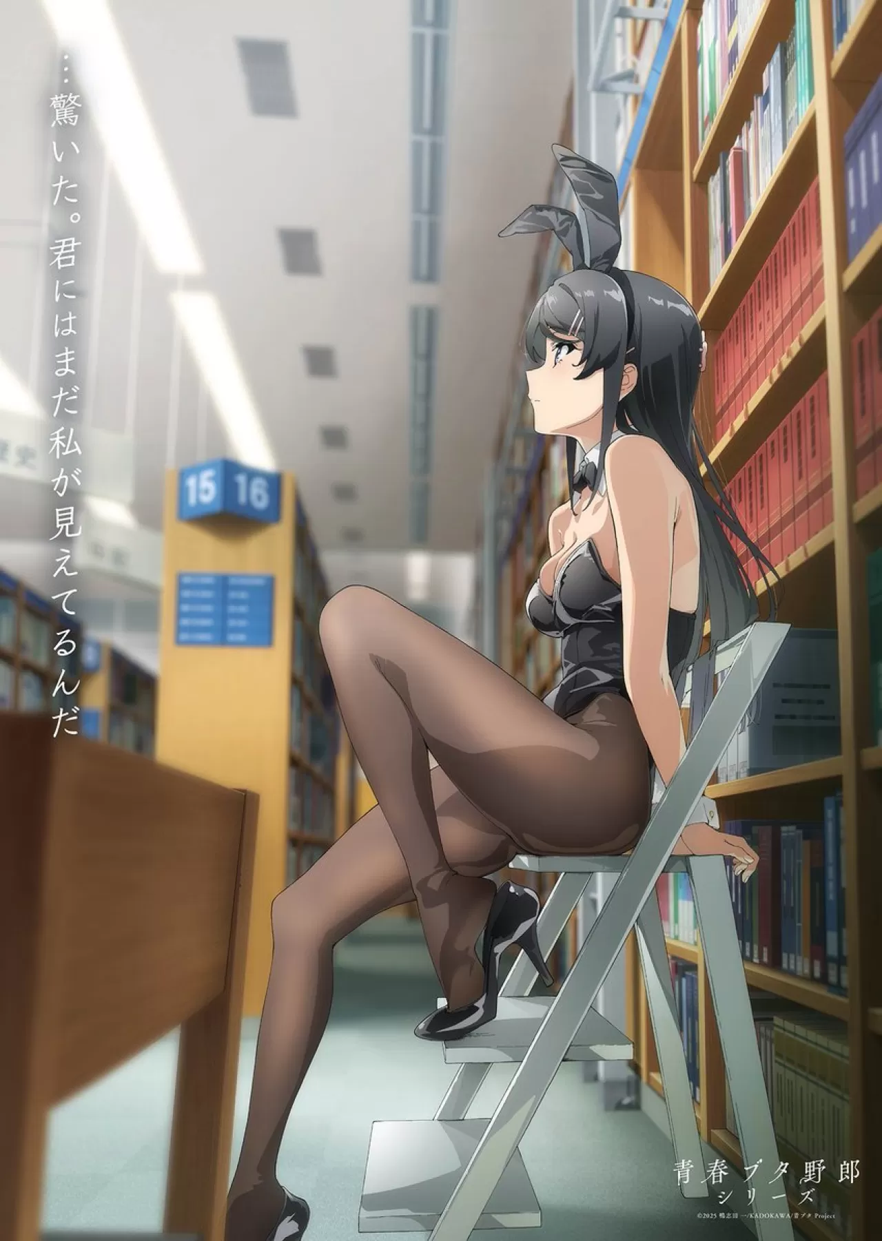 Seishun Buta Yarou Final Filmi 