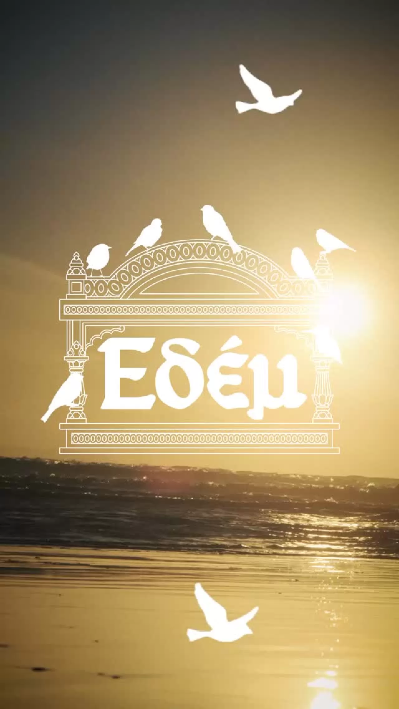 BERSHKA ve Ariesarise'ın 