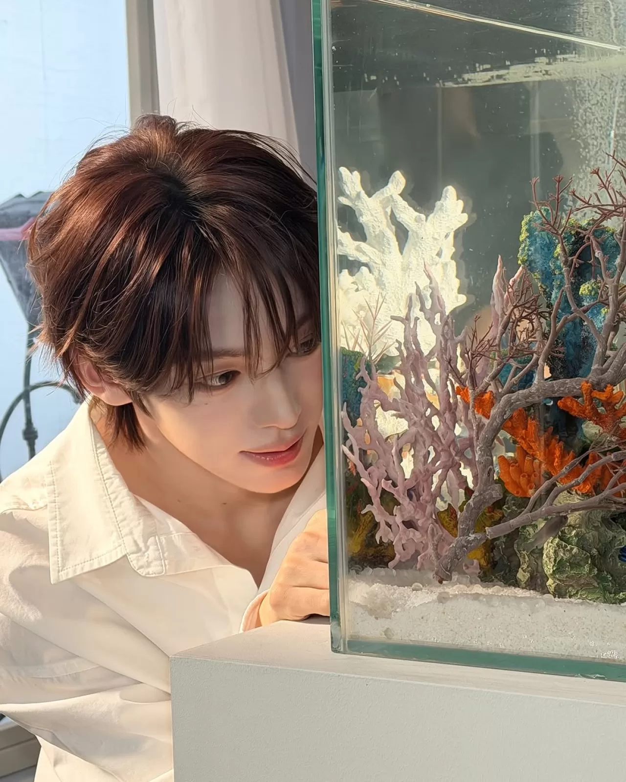 TWS (투어스), 247WithUs ile Fan Etkileşimini Yeni Bir Seviyeye Taşıyor