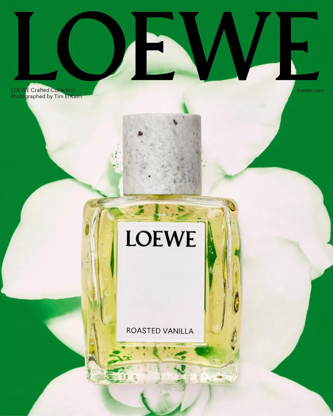 LOEWE, 2025 Parfüm Kampanyasını ve Yeni 
