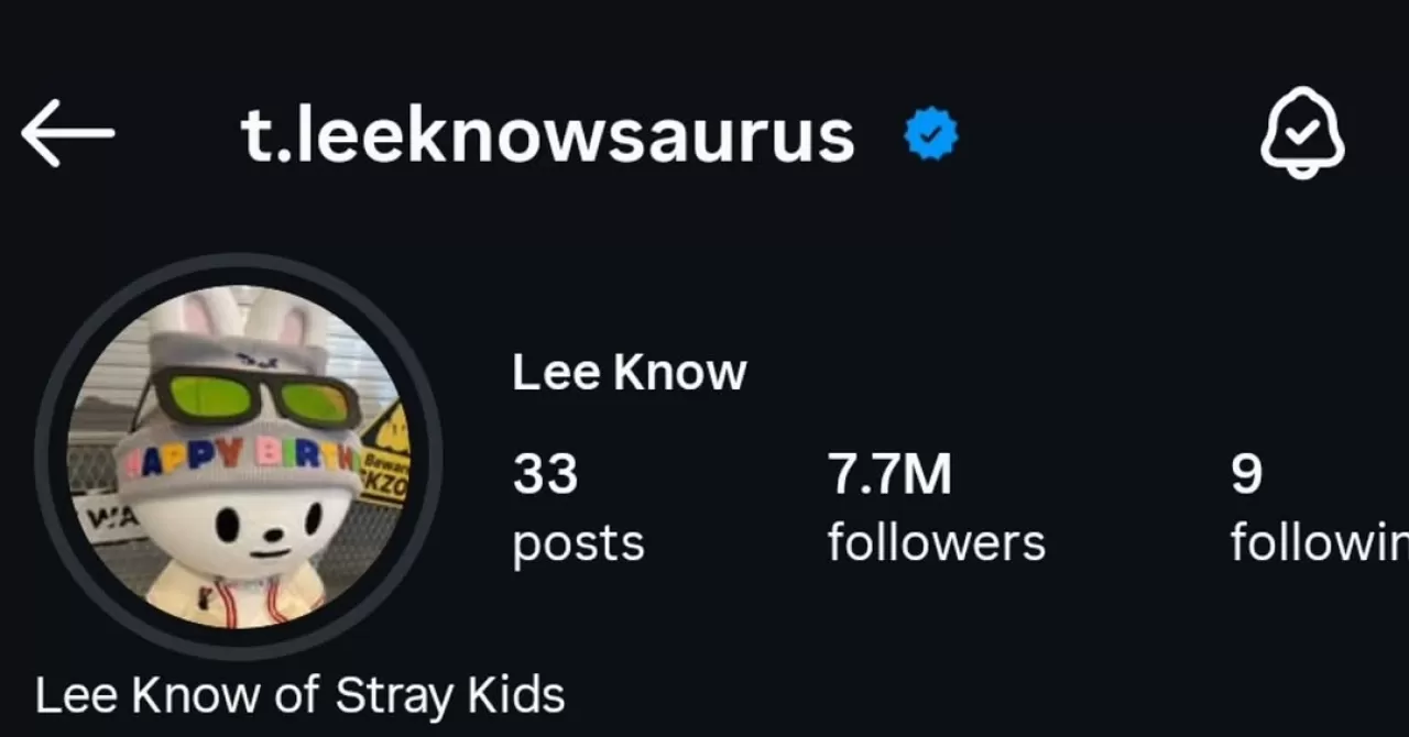 Stray Kids Üyesi Lee Know, Instagram Profilini Leebit ile Güncelledi