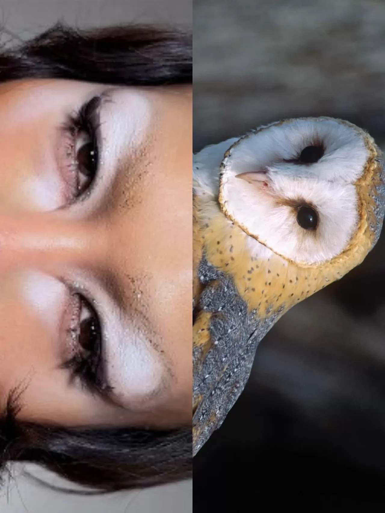 Urban Decay, Bayram Temalı Mizahi Makyaj Tasarımını Tanıttı