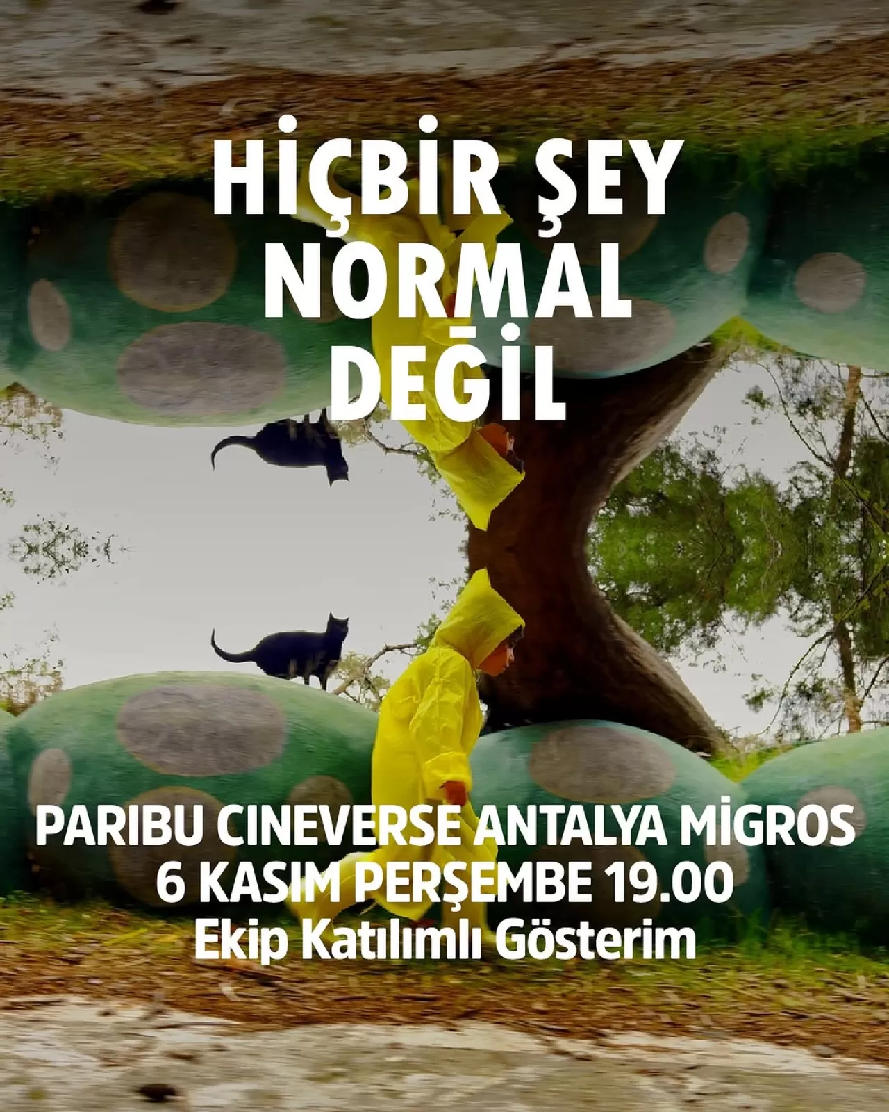 Damla Sönmez'in Yer Aldığı